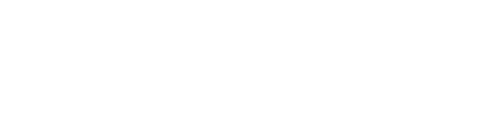 Vidyak